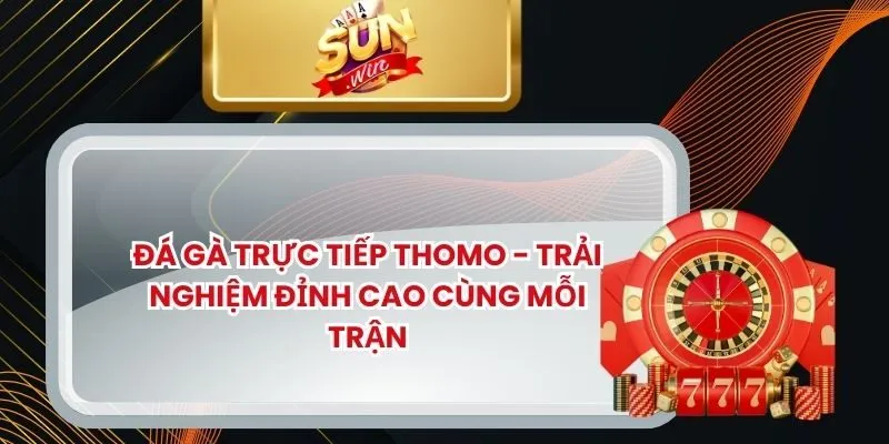 Đá gà trực tiếp Thomo mang đến trải nghiệm xem đá gà sống động, chân thực. Cùng SUNWIN khám phá những trận đấu hấp dẫn và kịch tính nhất năm 2025! Đá Gà Trực Tiếp Thomo - Trải Nghiệm Đỉnh Cao Cùng Mỗi Trận