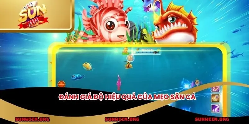 Đánh giá độ hiệu quả của mẹo săn cá