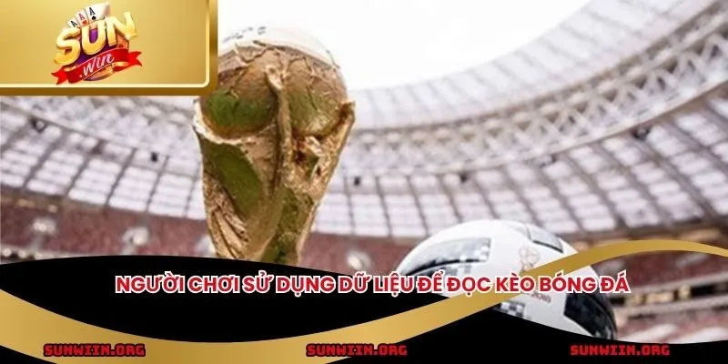 Người chơi sử dụng dữ liệu để đọc kèo bóng đá