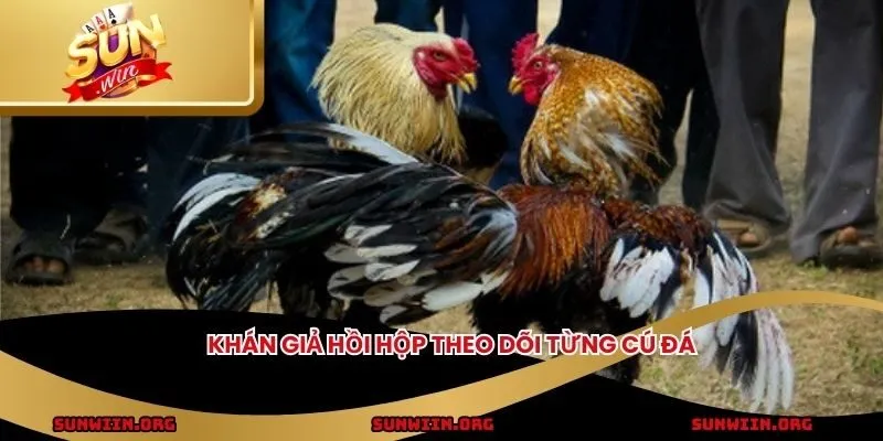 Khán giả hồi hộp theo dõi từng cú đá