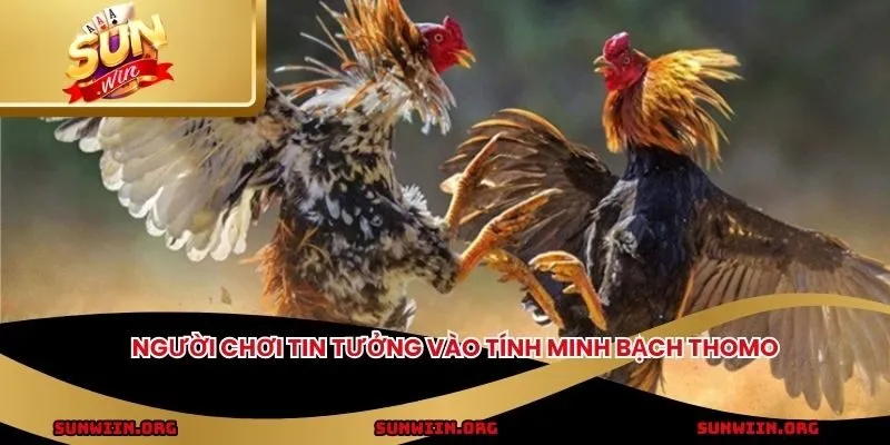 Người chơi tin tưởng vào tính minh bạch Thomo
