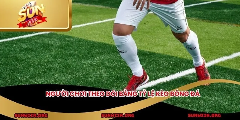 Người chơi theo dõi bảng tỷ lệ kèo bóng đá