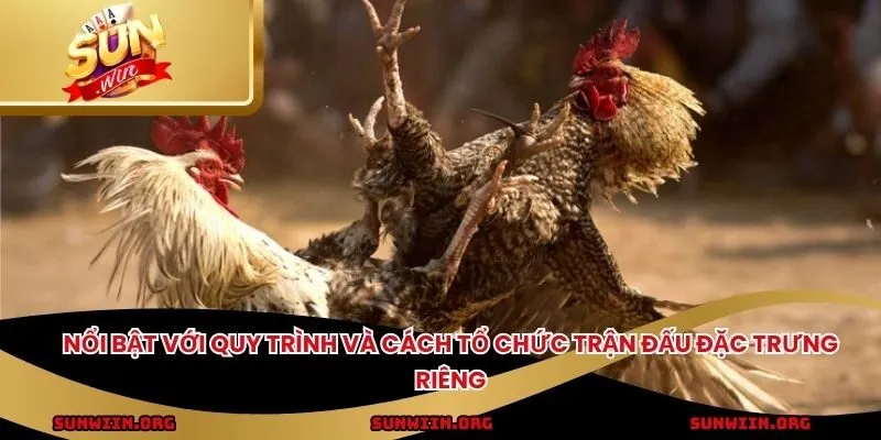 Nổi bật với quy trình và cách tổ chức trận đấu đặc trưng riêng